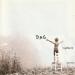 Dag - Righteous