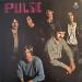 Pulse - Pulse