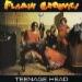 Flamin Groovies The - Teenage Head