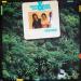 Jeremy Steig &eddie Gomez - Rain Forest