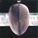 Gerard Manset - 2870