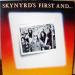 Lynyrd Skynyrd - Skynyrd's First ... And Last