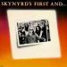Lynyrd Skynyrd - Skynyrd's First And... Last