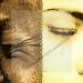 Artistes Divers - Rhythm Country And Blues