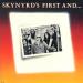 Lynyrd Skynyrd - Skynyrd's First And...last