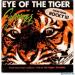 Survivor - Eye Of Tiger