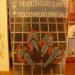 Golden Gate Quartet - The - Golden Negro Spirituals