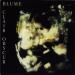 Clair Obscur - Blume