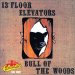 13th Floor Elevators - Bull Of The Woods