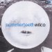 Wilco - Summerteeth