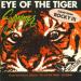 Survivor - Eye Of Tiger