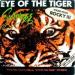 Survivor - Eye Of Tiger