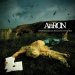 Aaron - Artificial Animals Riding On Neverland