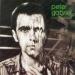 Peter Gabriel - Ein Deutches Album