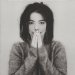 Bjork - Debut