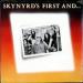 Lynyrd Skynyrd - Skynyrd's First And...