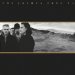 Joshua Tree