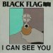 Black Flag - I Can See You