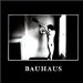 Bauhaus - In The Flat Field