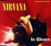 Nirvana - In Bloom