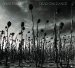 Dead Can Dance - Anastasis