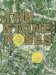 Stone Roses - Stone Roses