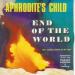End Of The World / You Always Stand In My Way