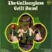 Gallowglass Ceili Band