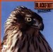 Blackfoot - Marauder