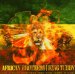 African Brothers - African Brothers Meet King Tubby In Dub