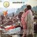 Woodstock - Woodstock