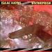 Isaac Hayes - Enterprise