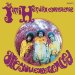 Jimi Hendrix - Are You Experienced