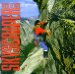 David Lee Roth - Skyscraper