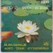 B. Bumble And The Stingers - Nut Rocker / Nautilus / Bumble Boogie / School Day Blues