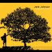 Jack Johnson - In Between Dreams
