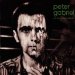 Peter Gabriel - Ein Deutsches Album