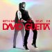 David Guetta - Nothing But The Beat 2.0