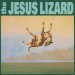 Jesus Lizard - Down