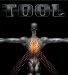 Tool - Salival