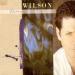 Brian Wilson - Brian Wilson