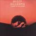 Gillespie Dizzy - Closer To The Source