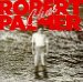 Robert Palmer - Clues