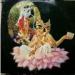 Temple Radha Krishna - Gaurangera Dutipada