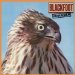 Blackfoot - Marauder