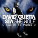 David Guetta Feat. Sia - She Wolf (falling To Pieces)