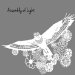 Assembly Of Light - Assembly Of Light