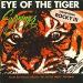 Survivor - Eye Of The Tiger