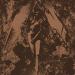 Converge/napalm Death - Split