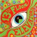 13th Floor Elevators - The Psychedelic Sounds Of The 13th Floor Elevators(mono Edition)